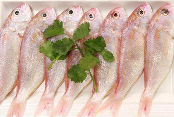越南冷凍金線魚進(jìn)口報(bào)關(guān)資料