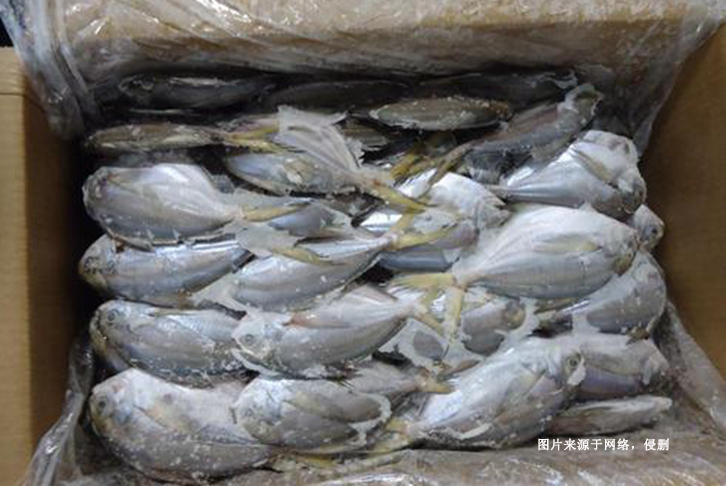厄瓜多爾冷凍鯧魚進口報關(guān)費用