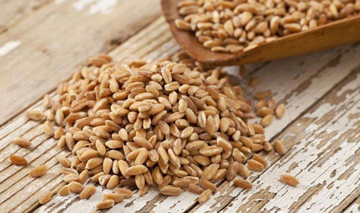 中國允許俄羅斯小麥進口