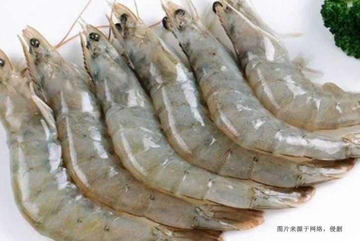 印尼去頭明對(duì)蝦進(jìn)口報(bào)關(guān)