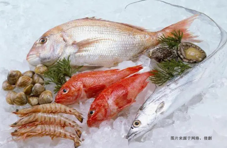 寧波冷凍食品進口報關：解讀進口通關的重要步驟