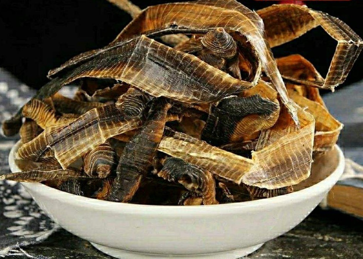 進口泰國地龍報關資料