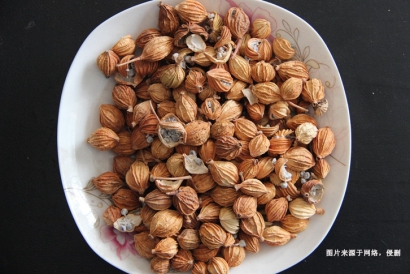 進(jìn)口澳大利亞豆蔻報關(guān)資料-調(diào)味料進(jìn)口無需藥品通關(guān)單