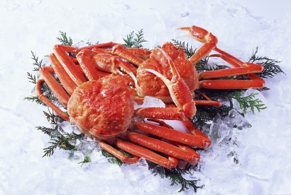 青島帝王蟹進口清關代理服務