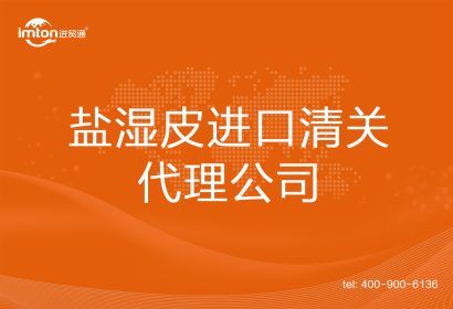 鹽濕皮進(jìn)口清關(guān)代理公司