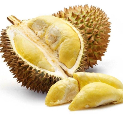 馬來西亞冷凍榴蓮進口報關資料_貓山王榴蓮關稅