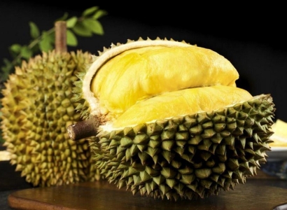 廣州進口越南榴蓮報關(guān)流程_新鮮榴蓮進口清關(guān)費用