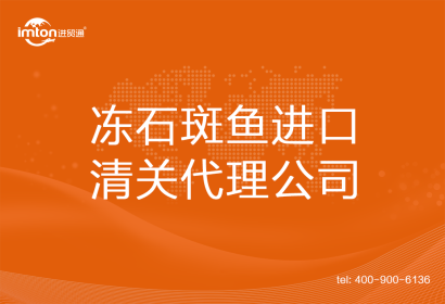 凍石斑魚進(jìn)口清關(guān)代理公司