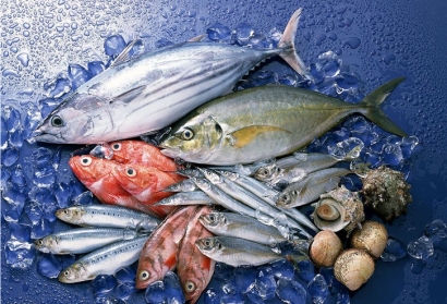 冷凍魚進口報關貨代公司_全球進口門到門服務