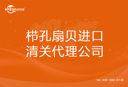 櫛孔扇貝進(jìn)口清關(guān)代理公司