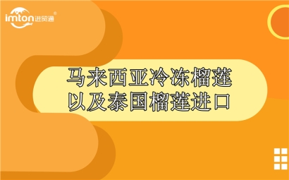 馬來西亞冷凍榴蓮以及泰國榴蓮進(jìn)口報關(guān)公司