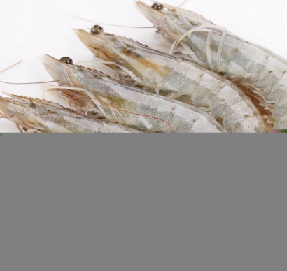 越南冷凍蝦進(jìn)口清關(guān)流程到廣州南沙港水產(chǎn)品案例