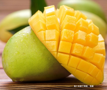 越南食品進(jìn)口報關(guān)|越南芒果進(jìn)口