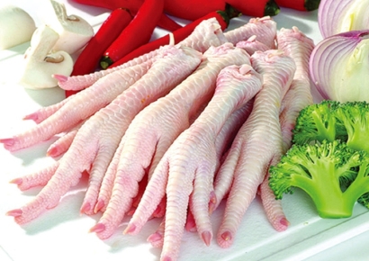 巴西進口雞爪報關怎么操作？進口清關流程