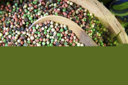 廣州港進(jìn)口胡椒清關(guān)公司代理所需資料