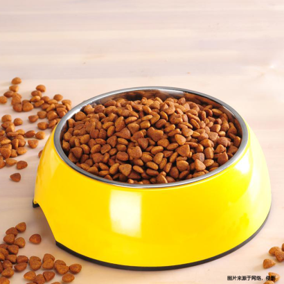 上海寵物食品進口清關報關流程-19年寵物食品報關行