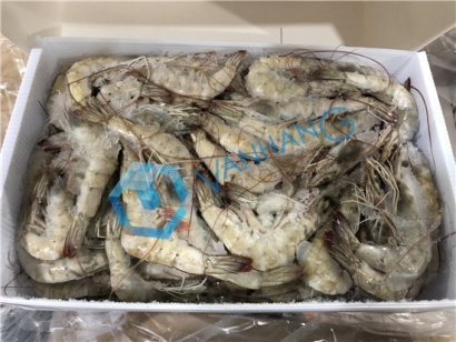 進(jìn)口海鮮報(bào)關(guān)需要的報(bào)關(guān)單證原來(lái)是這些，了解一下!