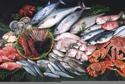 冷凍海鮮進口清關