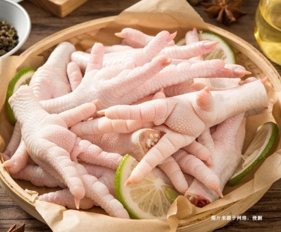 廣州進(jìn)口巴西雞爪報(bào)關(guān)資料-專注冷凍肉類清關(guān)19年