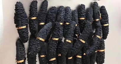 澳大利亞海參進口報關資料9樣-深圳水產品報關行