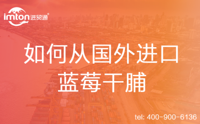 如何從國外進口藍(lán)莓干脯