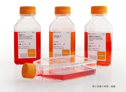 德國細胞培養(yǎng)試劑進口報關資料_上海空運生物試劑