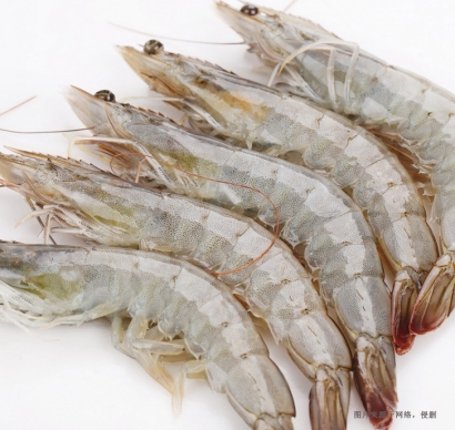 一文詳解進口蝦怎么清關？巴拿馬白腳蝦報關的關稅