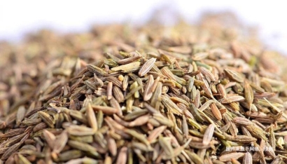 埃及枯茗子孜然進(jìn)口報(bào)關(guān)資料-18年調(diào)味料報(bào)關(guān)行