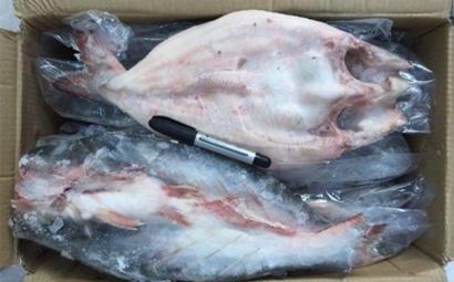 越南冷凍巴沙魚進(jìn)口報(bào)關(guān)到青島代理水產(chǎn)品案例