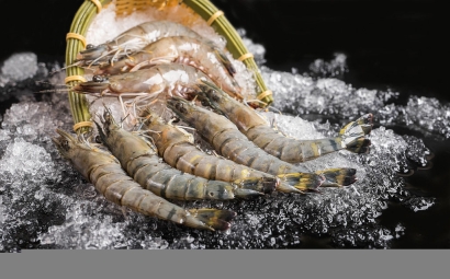 非洲海鮮進口清關