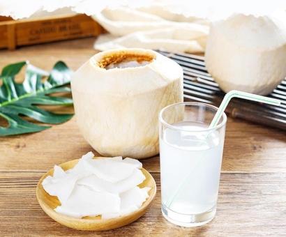 越南椰子進口報關資料_廣州椰子進口報關流程手續