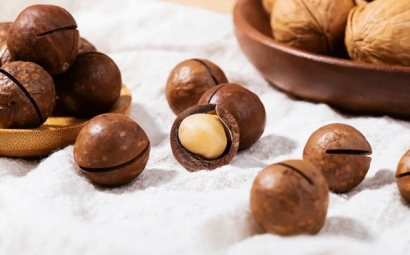 柬埔寨夏威夷果進口清關(guān)怎么操作