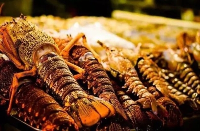 加拿大進(jìn)口波士頓龍蝦報(bào)關(guān)到上海機(jī)場(chǎng)水產(chǎn)品案例