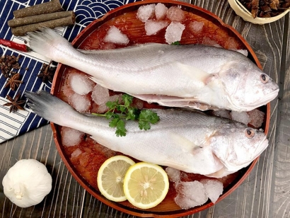 生鮮進(jìn)口報關(guān)代理如何辦理手續(xù)？「報關(guān)流程」