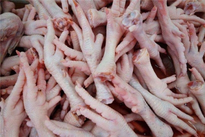 俄羅斯到深圳冷凍雞爪進口報關(guān)代理案例