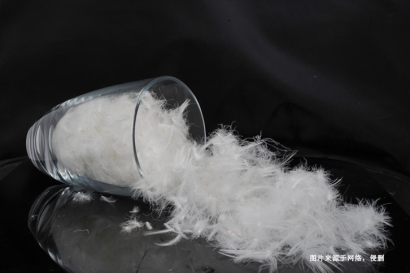 法國水洗羽絨羽毛進口報關(guān)資料_法國準(zhǔn)入水洗羽毛企業(yè)