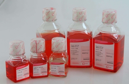 生物原料進口報關資質_生物制品進口清關流程