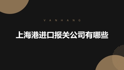 上海港進口報關公司有哪些?_上海報關公司推薦