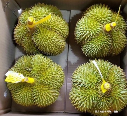 深圳機(jī)場(chǎng)進(jìn)口泰國(guó)榴蓮報(bào)關(guān)資料-曼谷空運(yùn)門到門