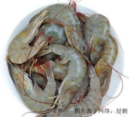 厄瓜多爾冷凍蝦進口清關(guān)流程_上海冷凍蝦報關(guān)公司