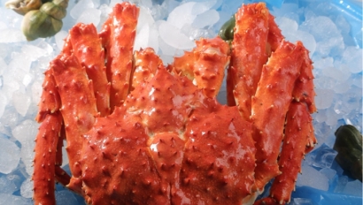 俄羅斯帝王蟹進(jìn)口清關(guān)手續(xù)流程及注意事項(xiàng)「通關(guān)攻略」