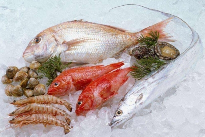 寧波進口印尼鯛魚清關(guān)資料_冷凍水產(chǎn)品進口報關(guān)費用