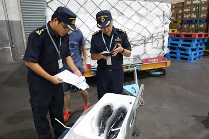 日本到杭州進(jìn)口冰鮮金槍魚(yú)代理清關(guān)公司案例