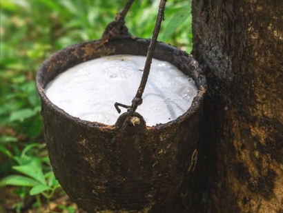 深圳橡膠進口報關流程及天然橡膠進口清關手續(xù)