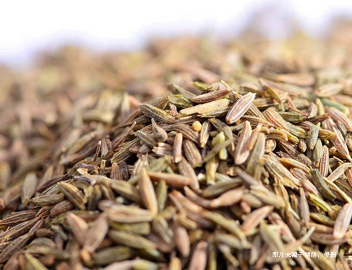 德國枯茗子進口清關資料 德國枯茗子進口清關資料