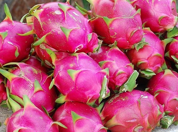 1631527335863669.jpg 火龍果進口清關(guān)_副本.jpg