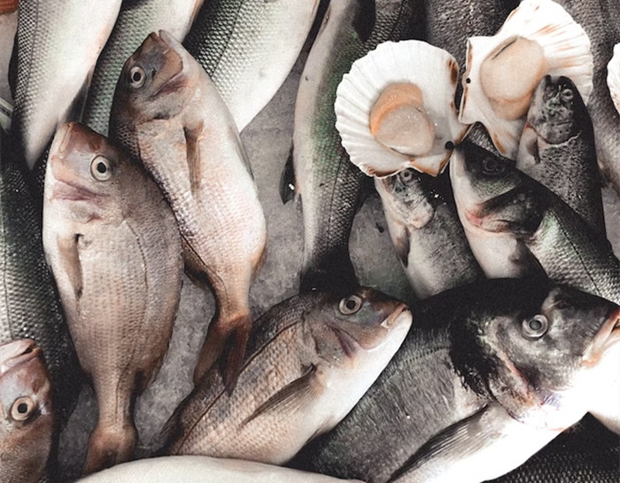 1675335746452726.jpg 大連進(jìn)口海鮮清關(guān)代理.jpg