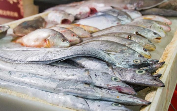 1629369857999060.jpg 青島進口水產(chǎn)品報關(guān)