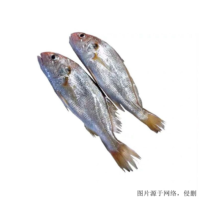 越南白姑魚(yú)進(jìn)口清關(guān)流程 越南白姑魚(yú)進(jìn)口清關(guān)流程
