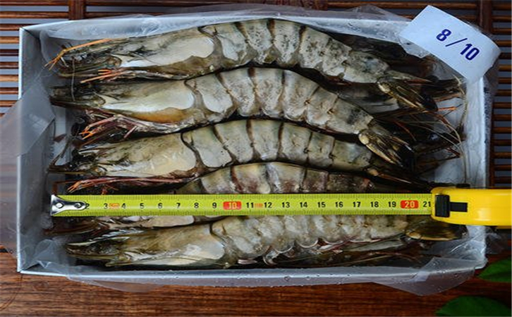 進(jìn)口泰國蝦清關(guān)代理公司 進(jìn)口泰國蝦清關(guān)